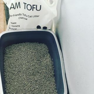 카미스쥬 KAMY 's ZOO I AM TOFU 프리미엄 천연 두부 고양이 쓰레기 숯 10LB — 5점을 준 리뷰어가 2021년 2월 올린 사용 사진