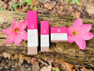 Pink Collagen Line [Toner, Serum, Cream] — 5점을 준 리뷰어가 2021년 9월 올린 사용 사진
