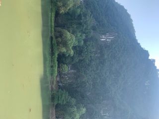 PhuongNami님이 올린 리뷰 사진 1