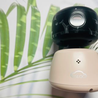 온습도 모니터와 스마트 리모컨이 탑재된 EGLOO cam S4 1080P Wi-Fi 스마트 카메라 — 3점을 준 리뷰어가 2021년 9월 올린 사용 사진
