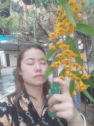 Lê Hồng Minh님이 올린 리뷰 사진 4