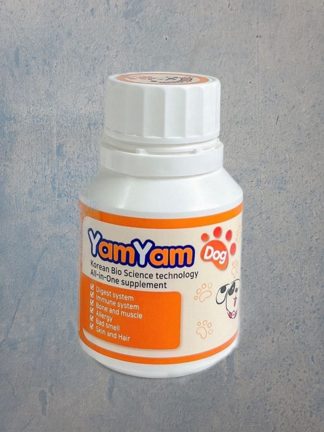 YAMYAM DOG 리뷰 사진