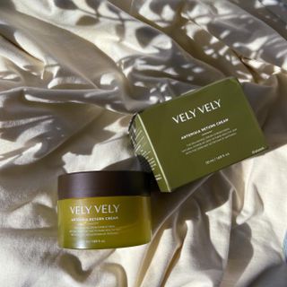 VELY VELY Artemisia Return Cream — 5점을 준 리뷰어가 2021년 4월 올린 사용 사진