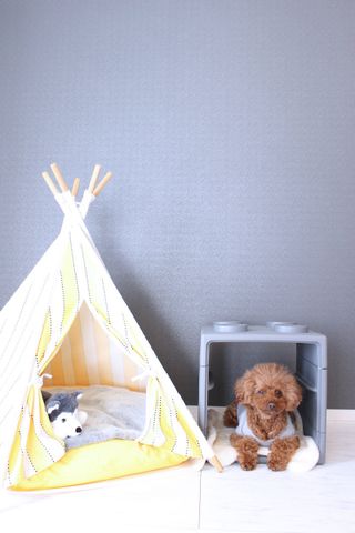 [CUBING] 형 모듈 수납 블록 타입 모듈러 스토리지 스토리지 인테리어 가구 DIY 가구 — 3점을 준 리뷰어가 2022년 1월 올린 사용 사진