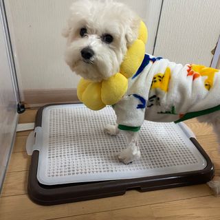 うゆ님이 올린 리뷰 사진 3