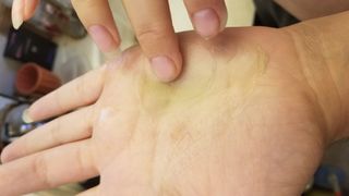 SadieSideshow님이 올린 리뷰 사진 2