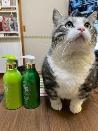 ゴールドプラスセット(シャンプー500g x 1ea/トリートメント500ml X 1ea) — 4점을 준 리뷰어가 2023년 4월 올린 사용 사진