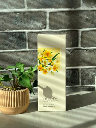 azalyaibra님이 올린 리뷰 사진 1