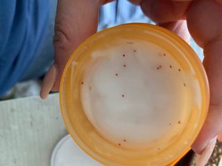 [THE SKIN HOUSE] Vita Snail Cream — 4점을 준 리뷰어가 2022년 4월 올린 사용 사진
