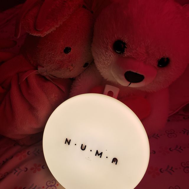 NUMA 램프 리뷰 사진