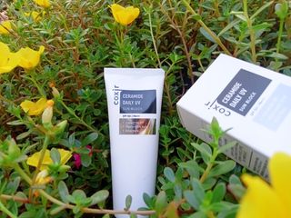 [Coxir] Ceramide Daily UV Sun Block — 5점을 준 리뷰어가 2022년 7월 올린 사용 사진