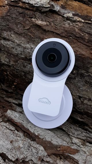 온습도 모니터와 스마트 리모컨이 탑재된 EGLOO cam S4 1080P Wi-Fi 스마트 카메라 — 4점을 준 리뷰어가 2021년 6월 올린 사용 사진