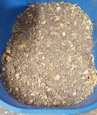 카미스쥬 KAMY 's ZOO I AM TOFU 프리미엄 천연 두부 고양이 쓰레기 숯 10LB — 5점을 준 리뷰어가 2021년 3월 올린 사용 사진