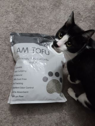 카미스쥬 KAMY 's ZOO I AM TOFU 프리미엄 천연 두부 고양이 쓰레기 숯 10LB — 5점을 준 리뷰어가 2021년 2월 올린 사용 사진
