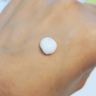 Petaly님이 올린 리뷰 사진 2