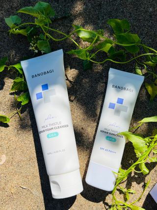 바노바기 코스메틱 바노바기 밀크씨슬 리페어 시카 폼 클렌저 플러스 120ml + 선스크린 플러스 50ml — 5점을 준 리뷰어가 2023년 8월 올린 사용 사진