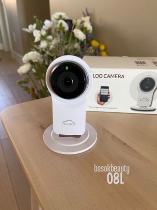 온습도 모니터와 스마트 리모컨이 탑재된 EGLOO cam S4 1080P Wi-Fi 스마트 카메라 — 5점을 준 리뷰어가 2021년 5월 올린 사용 사진