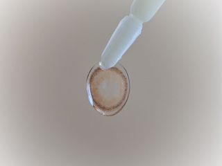 ゆな님이 올린 리뷰 사진 2