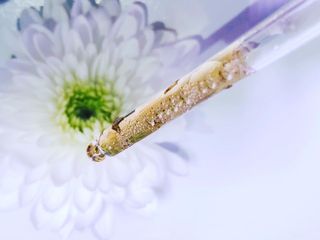 igataraska님이 올린 리뷰 사진 2