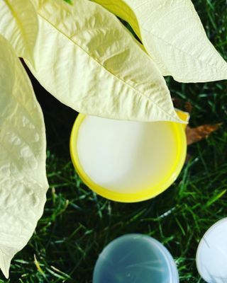 [THE SKIN HOUSE] Lemon Sorbet Cleanser, Aloe Soothing Vitamin Gel — 5점을 준 리뷰어가 2021년 12월 올린 사용 사진