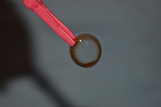 champarice님이 올린 리뷰 사진 3