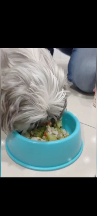 elleadelic님이 올린 리뷰 사진 4