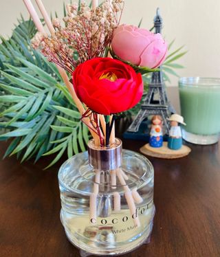 코코도르 디퓨저 120ml, 200ml, 500ml — 5점을 준 리뷰어가 2022년 2월 올린 사용 사진