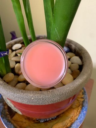 tinaphung님이 올린 리뷰 사진 2