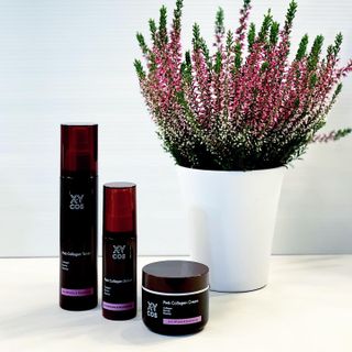 Pink Collagen Line [Toner, Serum, Cream] — 4.5점을 준 리뷰어가 2021년 10월 올린 사용 사진