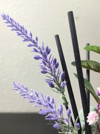 Viktoryia님이 올린 리뷰 사진 3