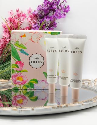 더 퓨어 로터스 제주 식물 선크림 / 제주 연잎 &amp; 동백 미스트 / 순수한 연꽃 어메니티 세트 — 5점을 준 리뷰어가 2022년 9월 올린 사용 사진