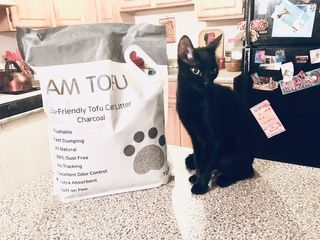 카미스쥬 KAMY 's ZOO I AM TOFU 프리미엄 천연 두부 고양이 쓰레기 숯 10LB — 5점을 준 리뷰어가 2021년 2월 올린 사용 사진