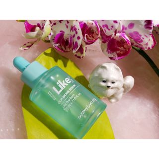 Peepingpomeranian님이 올린 리뷰 사진 1