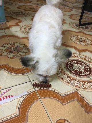 TiNguyn님이 올린 리뷰 사진 1
