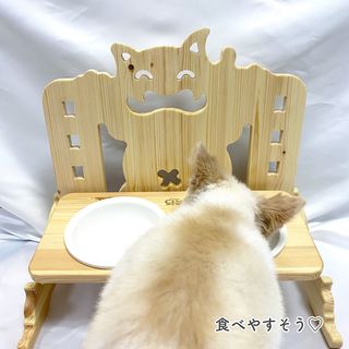 나꿈세 반려동물 원목 높이조절 양면 식기 — 5점을 준 리뷰어가 2023년 6월 올린 사용 사진