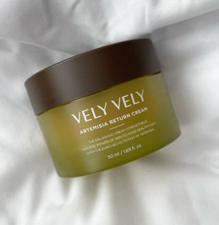 VELY VELY Artemisia Return Cream — 5점을 준 리뷰어가 2021년 4월 올린 사용 사진