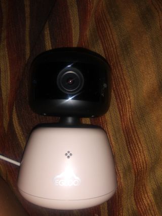 온습도 모니터와 스마트 리모컨이 탑재된 EGLOO cam S4 1080P Wi-Fi 스마트 카메라 — 5점을 준 리뷰어가 2021년 9월 올린 사용 사진