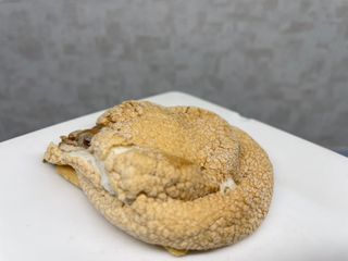 9088161yh님이 올린 리뷰 사진 3