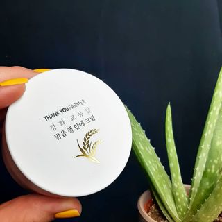 ShannonPippin님이 올린 리뷰 사진 2