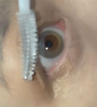 塚越麻由님이 올린 리뷰 사진 3
