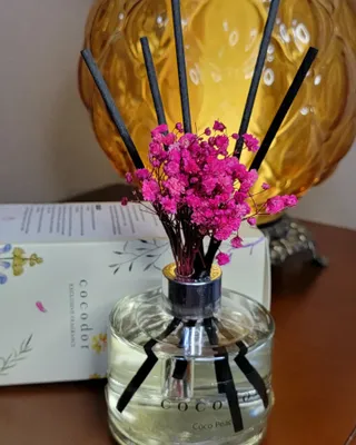 플라워 디퓨저 / 6.7oz [코코피치] — 5점을 준 리뷰어가 2022년 8월 올린 사용 사진