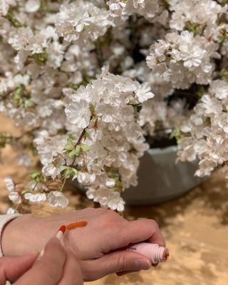 sakurakohan님이 올린 리뷰 사진 4