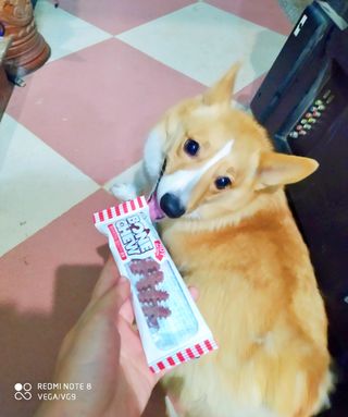 ViTGiang님이 올린 리뷰 사진 1