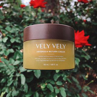 VELY VELY Artemisia Return Cream — 4점을 준 리뷰어가 2021년 4월 올린 사용 사진
