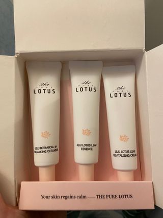 더 퓨어 로터스 제주 식물 선크림 / 제주 연잎 &amp; 동백 미스트 / 순수한 연꽃 어메니티 세트 — 5점을 준 리뷰어가 2022년 12월 올린 사용 사진