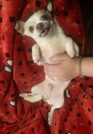 lindsayxann님이 올린 리뷰 사진 3
