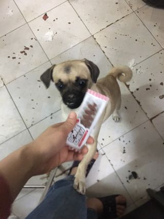 do an na님이 올린 리뷰 사진 3