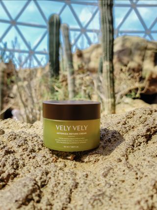 VELY VELY Artemisia Return Cream — 5점을 준 리뷰어가 2021년 4월 올린 사용 사진
