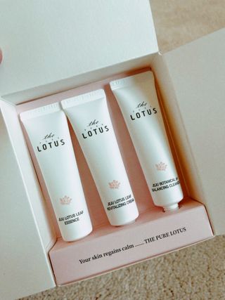 더 퓨어 로터스 제주 식물 선크림 / 제주 연잎 &amp; 동백 미스트 / 순수한 연꽃 어메니티 세트 — 5점을 준 리뷰어가 2022년 9월 올린 사용 사진