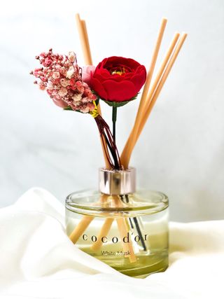 코코도르 디퓨저 120ml, 200ml, 500ml — 5점을 준 리뷰어가 2022년 2월 올린 사용 사진